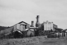 grayscale photo of houses and field