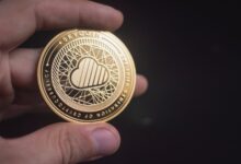 person holding gold-colored coin