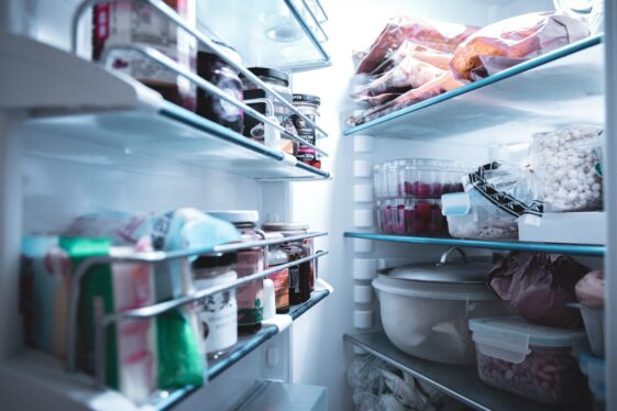 Jesse K. white refrigerator with assorted food