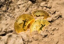 three Bitcoins on soil