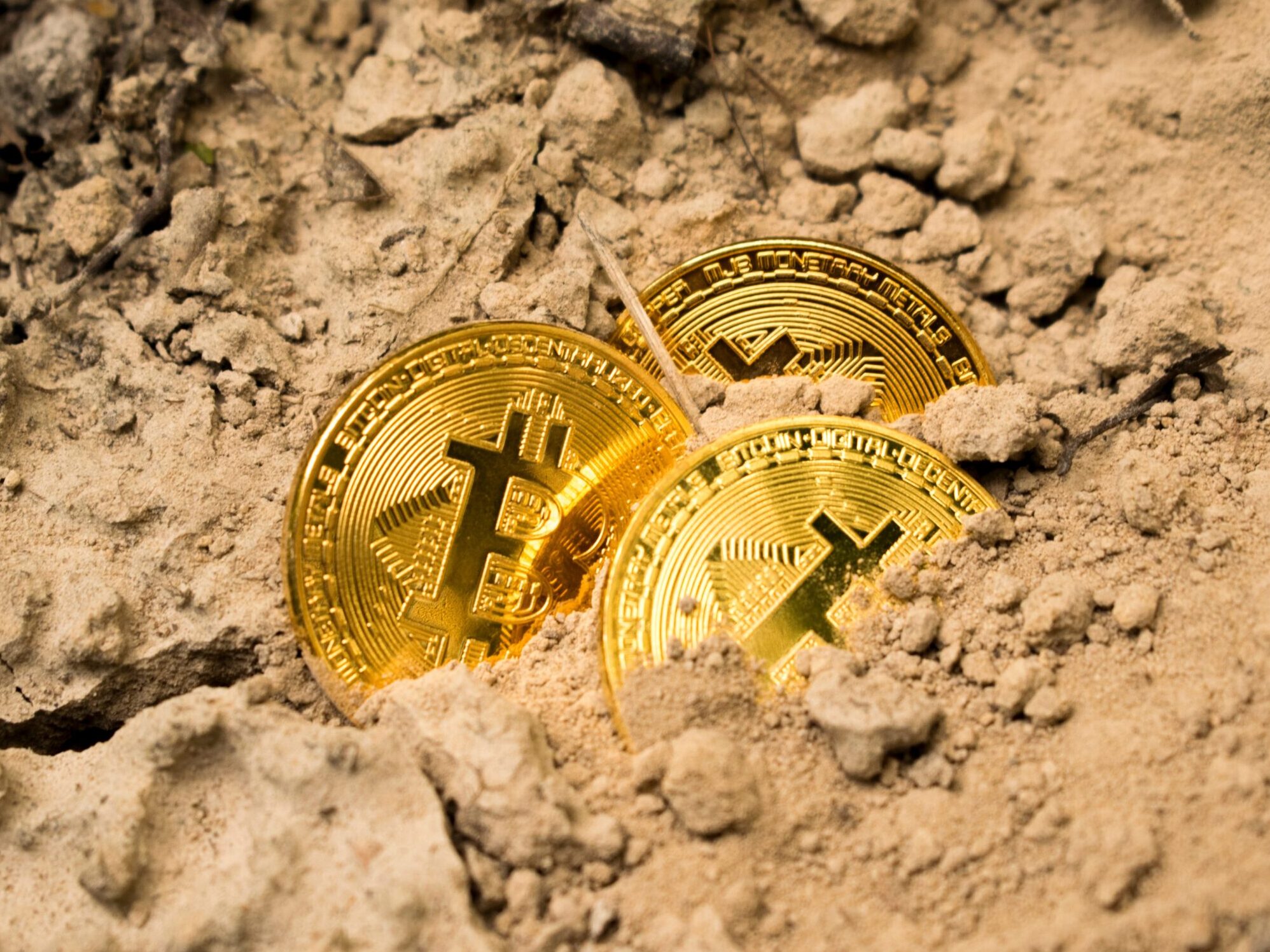 three Bitcoins on soil