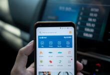person holding android smartphone