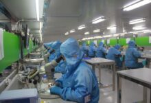 man in blue jacket wearing blue mask