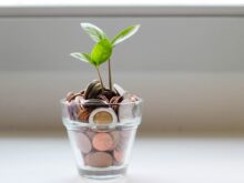 green plant in clear glass cup