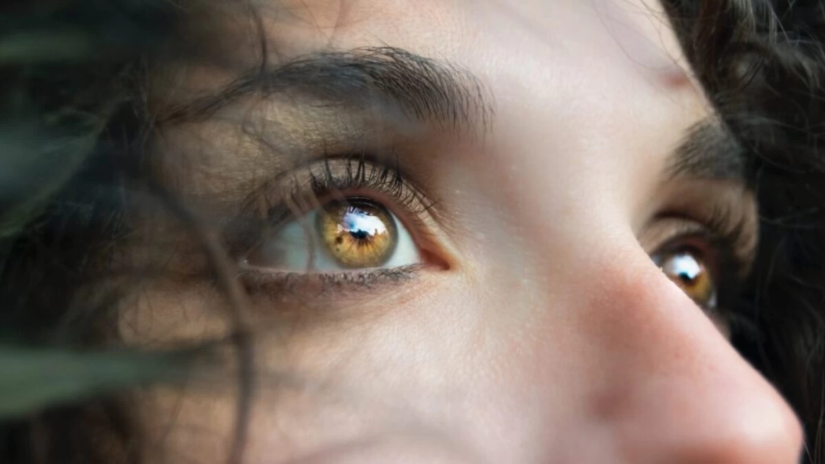 closeup photo of person