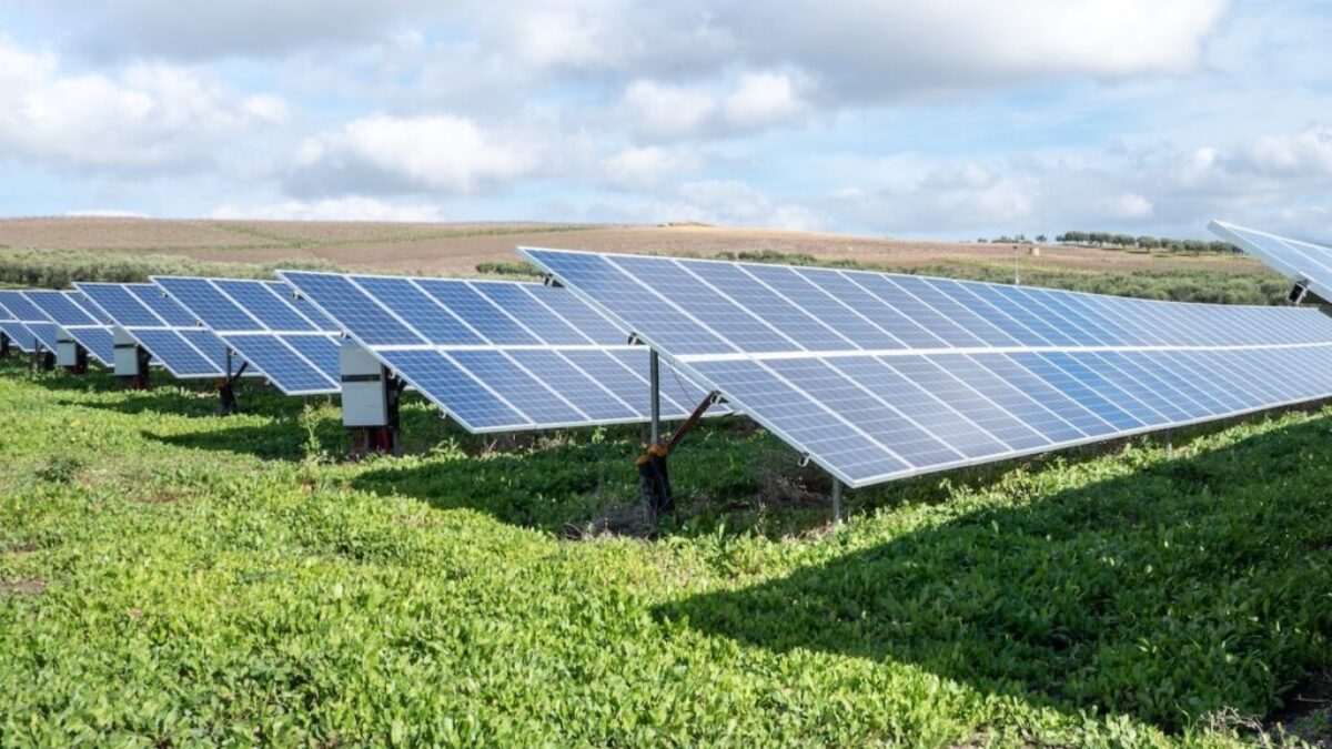 blue solar panels on green grass field under white clouds and blue sky during daytime
