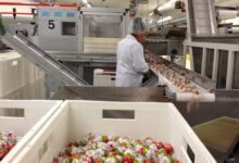 Rubezahl Schokoladen - Chocolate Factory - Germany