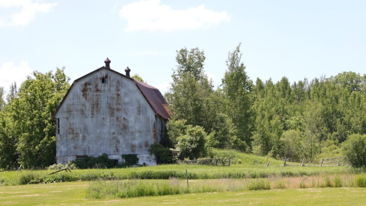 brown wooden house on green grass field during daytime