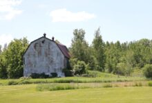 brown wooden house on green grass field during daytime