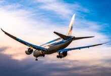 blue and white airplane flying during daytime