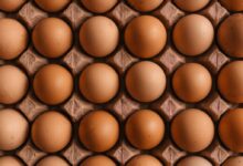 native egg lot