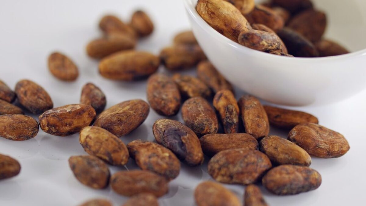 cocoa beans, beans, food