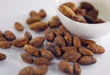 cocoa beans, beans, food