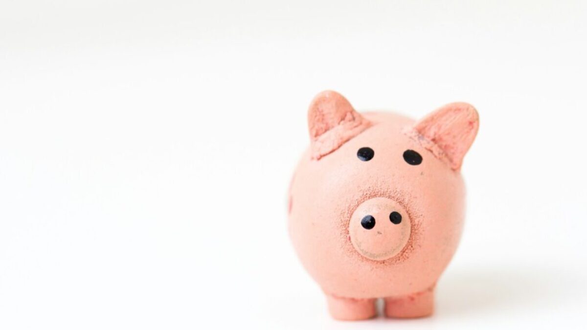 pink pig figurine on white surface