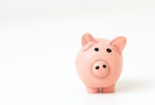 pink pig figurine on white surface