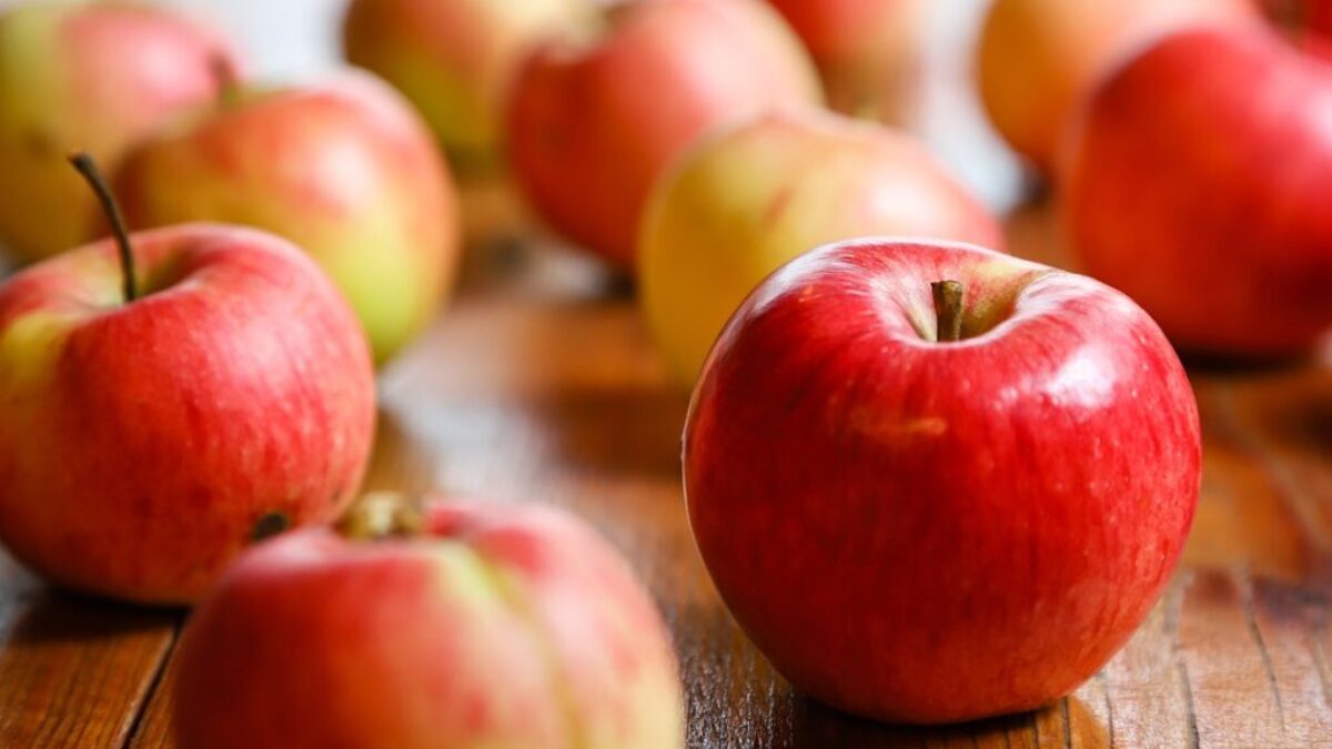 harvest, fruit, apple
