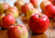 harvest, fruit, apple