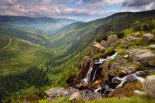 Shutterstock / TTstudio