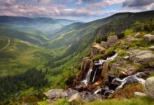 Shutterstock / TTstudio