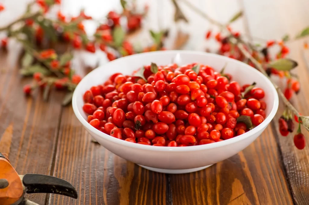 Proč se tomuto malému plodu spíše vyhýbáme? Zdroj: Shutterstock - ByznysDeník Goji čerstvé