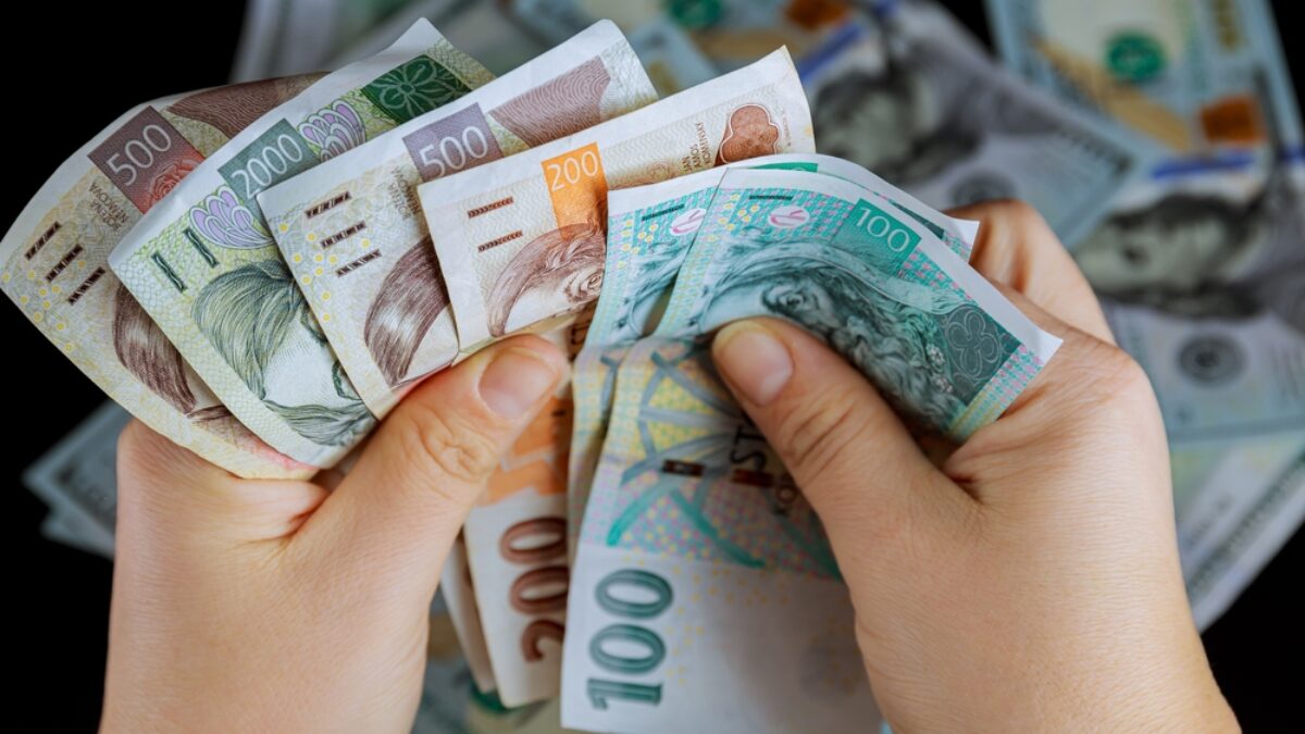 Shutterstock / ZhakYaroslav