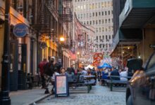 New York je zemí mnoha kultur i chutí, ta česká mezi nimi nesmí chybět. Jedno české jídlo tu proslavilo naši gastronomii. Zdroj: Shutterstock