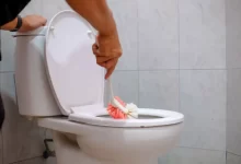 Úklid toalety