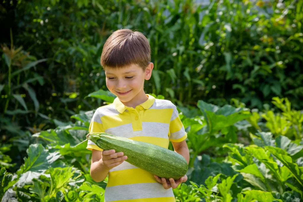 Uměním je utrhnout cuketu včas. Zdroj: Shutterstock - ByznysDeník Chlapec v pruhovaném triku držící cuketu.