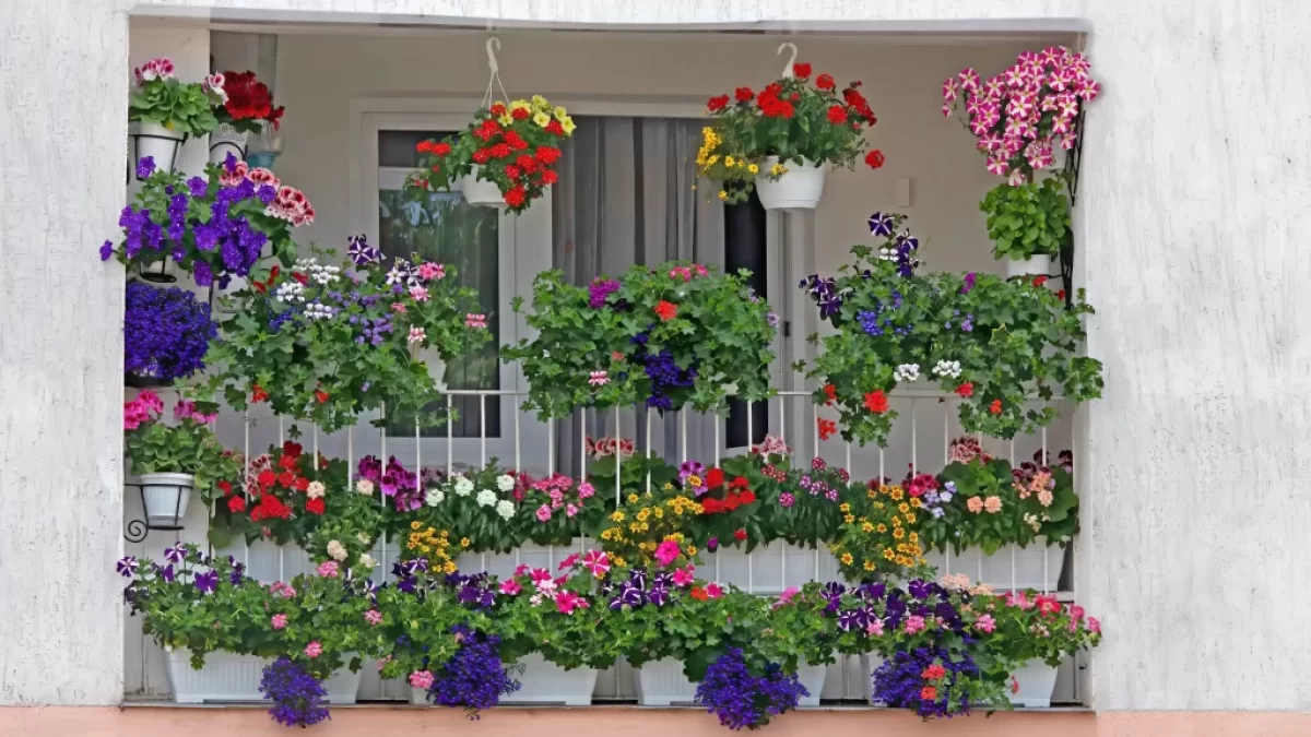 balkon s květinami