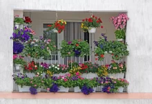 balkon s květinami