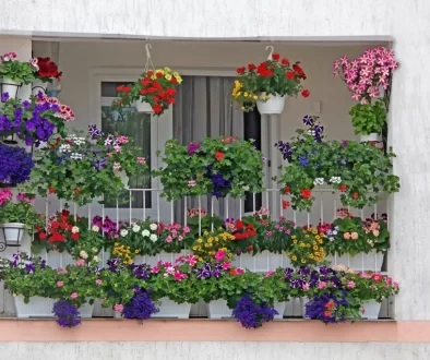 balkon s květinami