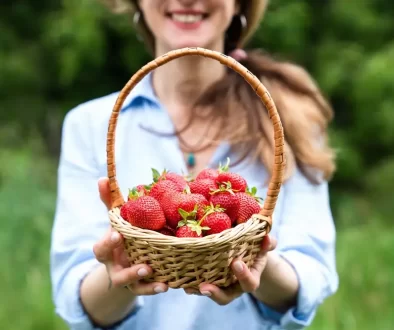 Žena drží v ruce košík jahod.