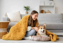 Žena leží v obývacím pokoji pod dekou s labradorem