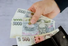 Ruka držící bankovky