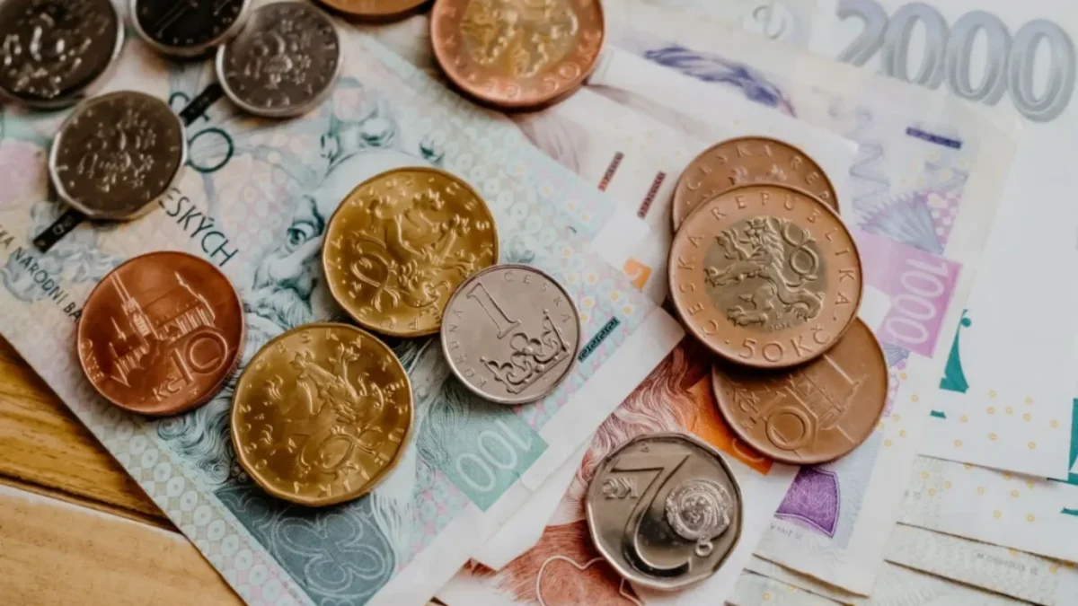 Česká hotovost v podobě mincí a bankovek
