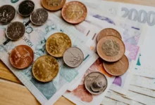 Česká hotovost v podobě mincí a bankovek