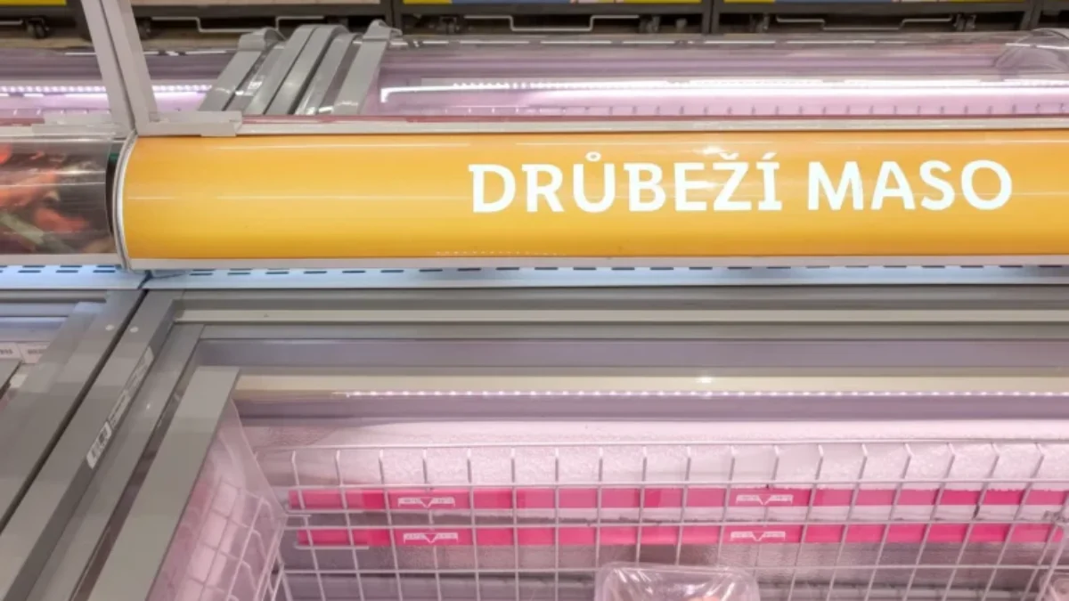 Z testů kvality potravních řetězců nejlépe vychází Lidl.