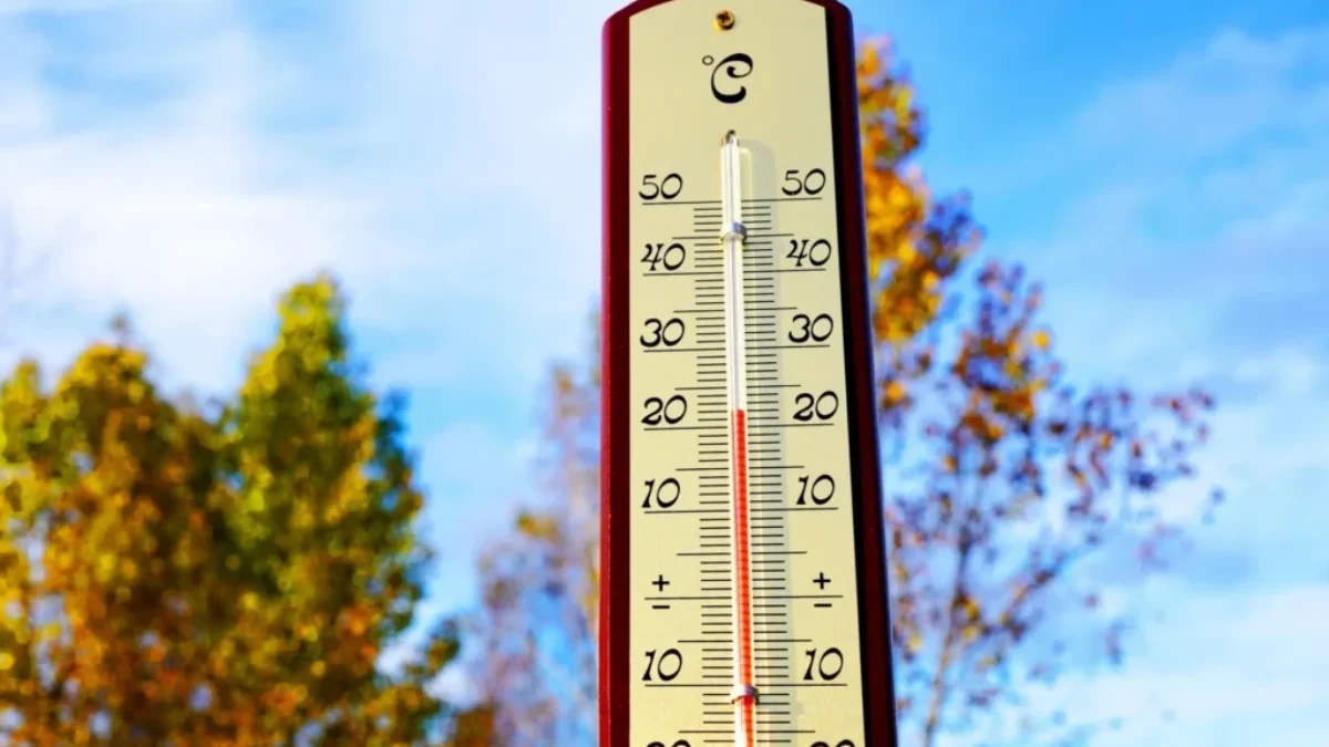 Teploměr s 20°C a na pozadí stromy