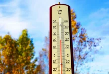 Teploměr s 20°C a na pozadí stromy