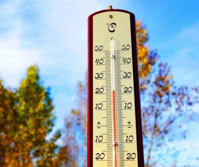 Teploměr s 20°C a na pozadí stromy