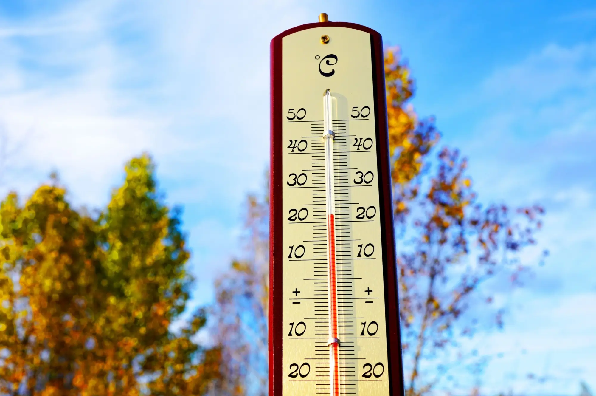 Teploměr s 20°C a na pozadí stromy