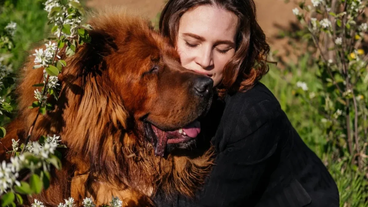 Žena s tibetským mastifem