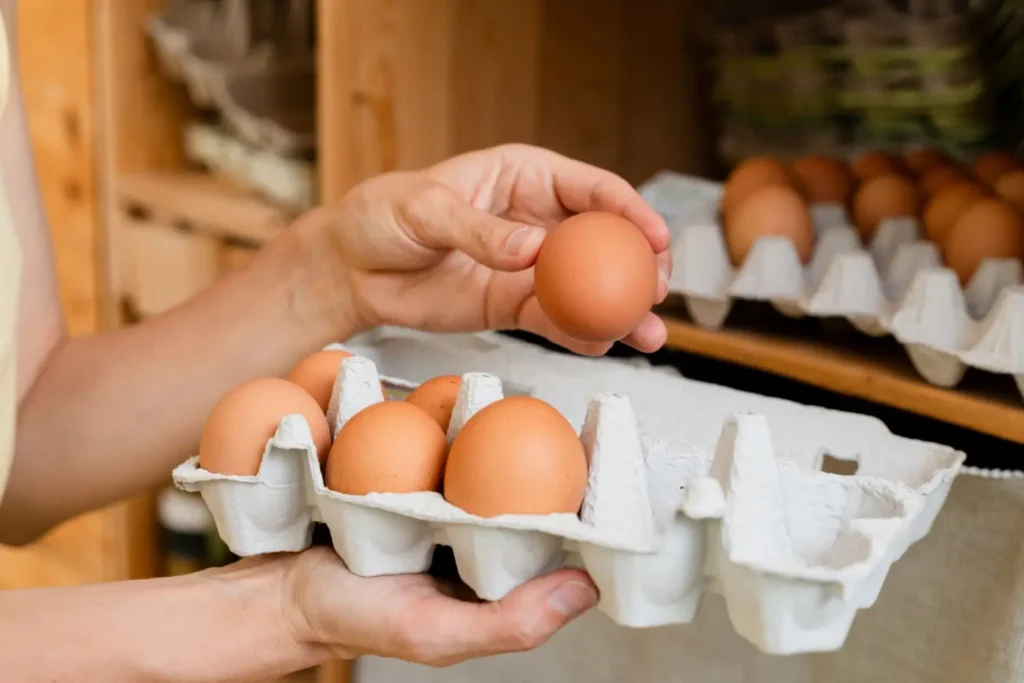 - ByznysDeník Ruce držící čerstvá vejce v papírovém obalu