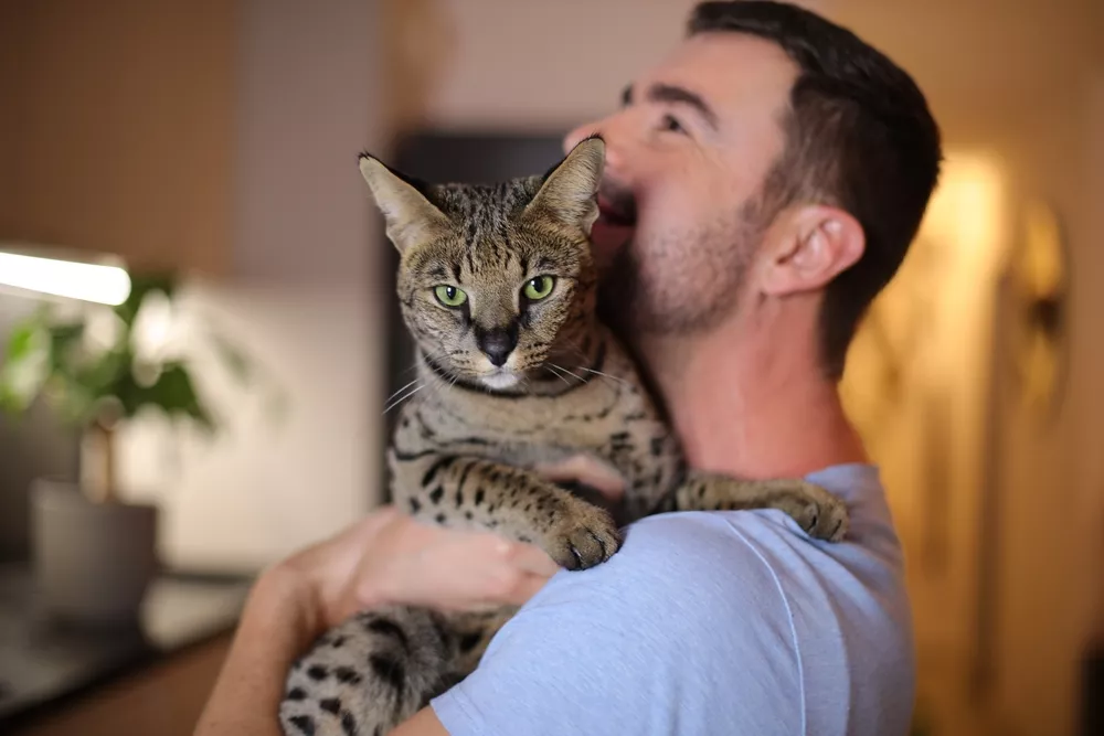 - ByznysDeník muž chovající savanovou kočku