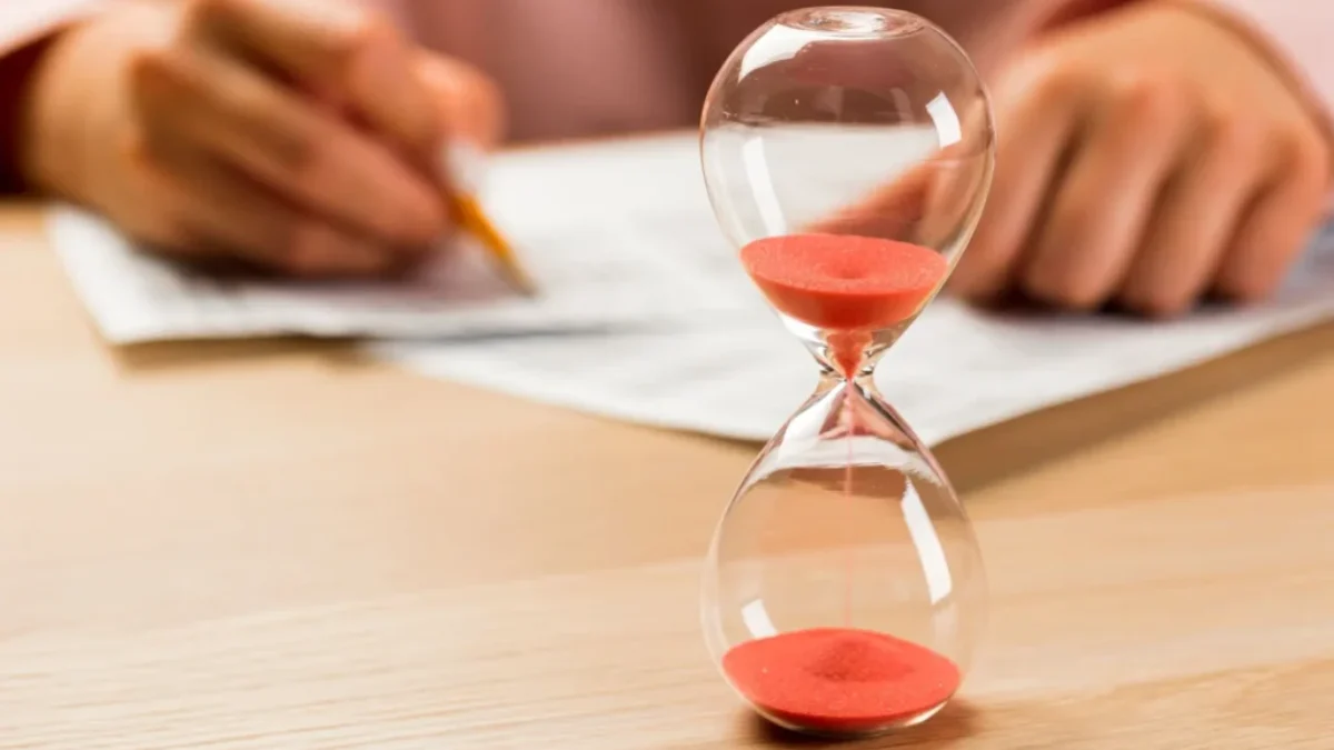 Geniální jedinci rychle najdou schované číslo.