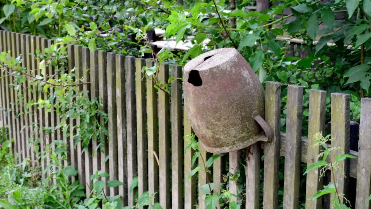 Starý dřevěný plot