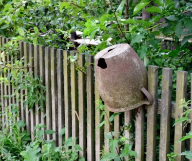 Starý dřevěný plot