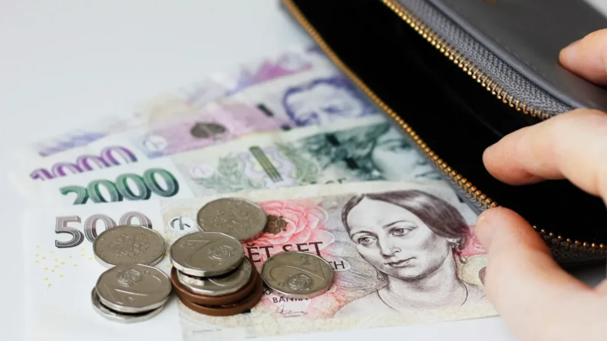 Česká hotovost a peněženka