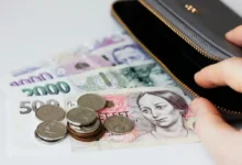 Česká hotovost a peněženka